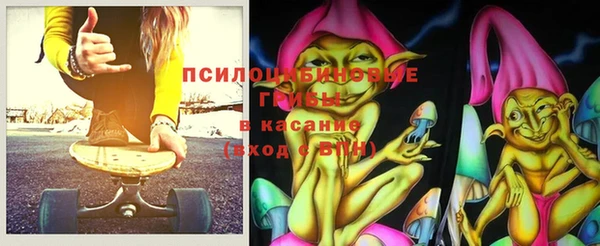 сатива Медногорск