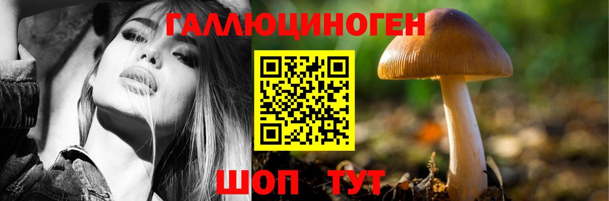 Галлюциногенные грибы Magic Shrooms  Домодедово  Галлюциногенные грибы мицелий 