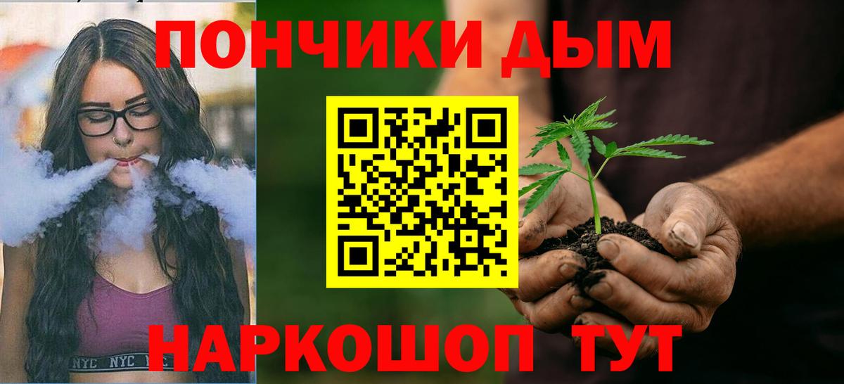 Шишки марихуана конопля  Домодедово  Шишки марихуана конопля 